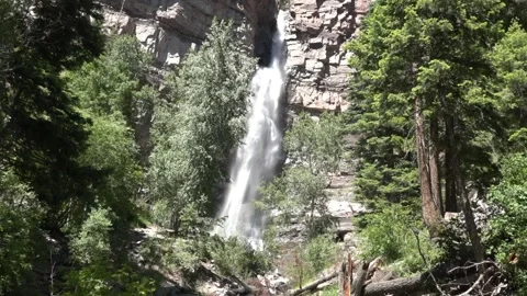 Static View of Cascade Falls through trees Ouray Colorado 4K Stock Footage 245369609