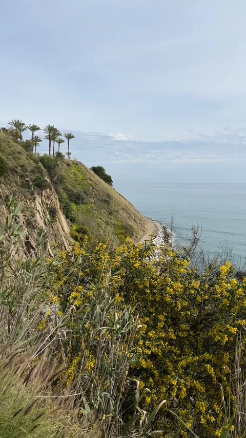 Static view of coastline in Benalmadena, Malaga, Spain Stock Footage 240922034