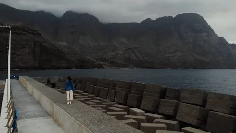 Static view from the drone on a young girl standing on a pier on a dark day Stock Footage 112354635