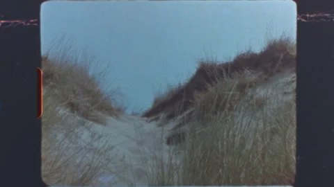 Static view of El Saler Valencia dunes super 8mm film 스톡 동영상 320307418