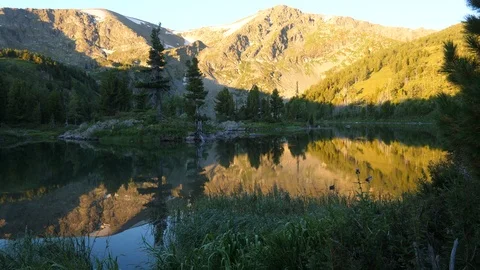 Static view to forest mountain lake. Altai Video stock 103392064