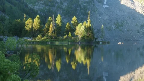 Static view to forest mountain lake. Altai Video stock 103394284