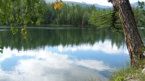 Static view to forest mountain lake Aru-Kem. Altai 動画素材 118765323