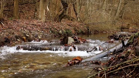 Static view on Forest stream flowing over therocks. Stock Footage 104441298