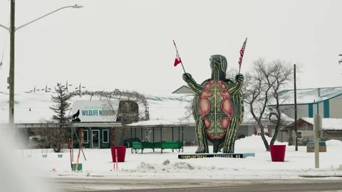 Static view of full painted turtle statue holding dual flags overhead Stock Footage 296584908
