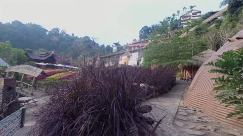 Static view of garden path with purple grass and mountain nature scenery 库存影片 345648606