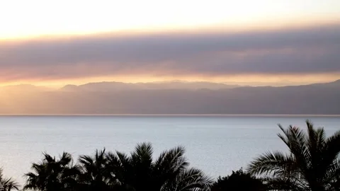 Static view of golden dusk twilight over Dead Sea horizon with palm tree tops Видео 336485981