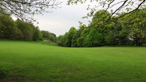 Static View Of A Green Lawn With Mowed Grass Surrounded By Trees Stock Footage 283919357