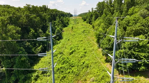 Static view of high-voltage power transmission lines crossing a forest corridor Stock-Footage 342332685