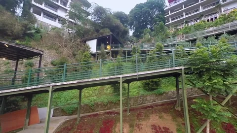 Static view of hillside terraced pathway and green nature landscape Stock-Footage 345654435
