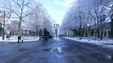 Static view of the historic downtown of Kecskemet in winter Stock Footage 64090433