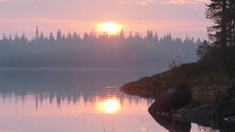 Static view to Karelia lake with forest islands. Sunset 動画素材 146323316