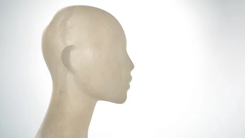 Static view of mannequin head in a white studio Stock Footage 154153725