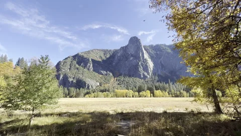 Static view of a meadow and fall foliage in Yosemite national park Stock Footage 164486253