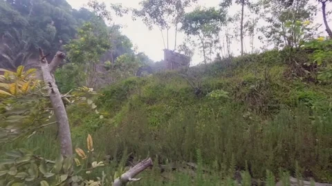 Static view of mountain hillside and green nature landscape Stock Footage 345649850