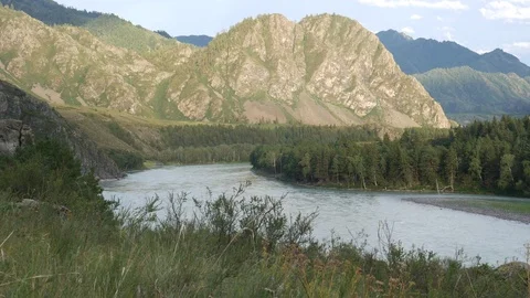 Static view from a mountain to a rapid river Katun. Altai Stock Footage 84451642