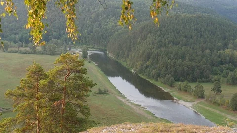 Static view from a mountain to a slow river and pine forest Video stock 83994804