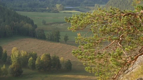 Static view from a mountain to a slow river, haystacks and pine forest 動画素材 83994836