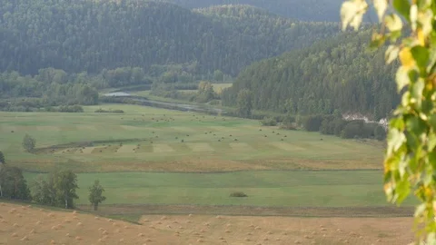 Static view from a mountain to a slow river, haystacks and pine forest 動画素材 83994840