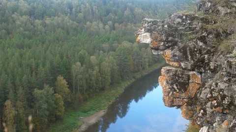 Static view from a mountain to a slow river and pine forest 動画素材 101713996