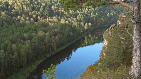 Static view from a mountain to a slow river and pine forest Video stock 101722797