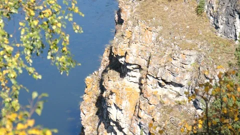 Static view from a mountain to a slow river and pine forest 動画素材 101723009