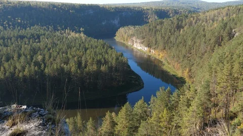 Static view from a mountain to a slow river and pine forest 動画素材 101772627