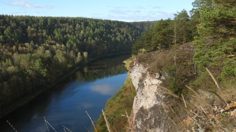 Static view from a mountain to a slow river and pine forest Stock Footage 101773828
