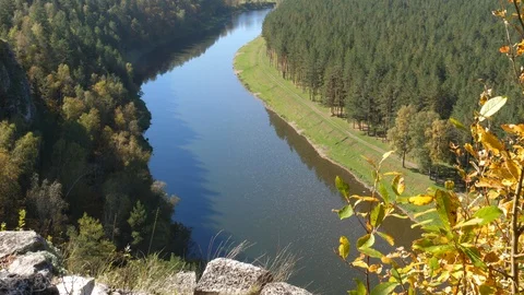 Static view from a mountain to a slow river and pine forest Stock Footage 101790662