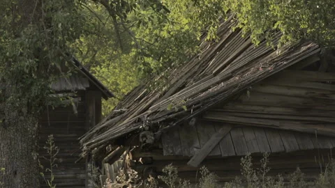 Static view on old destroyed abandoned wooden house in village of Belarus. Stock Footage 99492640