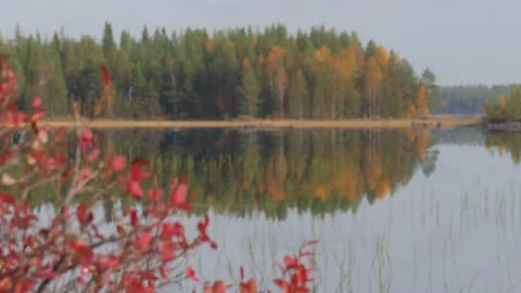 Static view with rack focus to Karelia lake with islands. Autumn forest Video stock 146322241