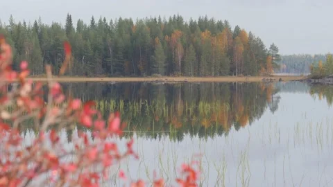 Static view with rack focus to Karelia lake with islands. Autumn forest Video stock 147744088