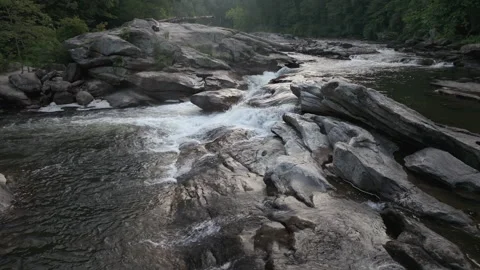 Static view of rapids in a forested mountain river Video stock 248573394