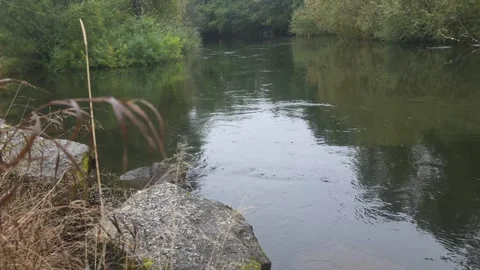 Static view of river stones and calm water stream in Sweden Stock Footage 347204321