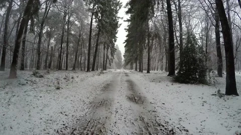 Static view of rural path and snow landscape 4k Stock Footage 166784483