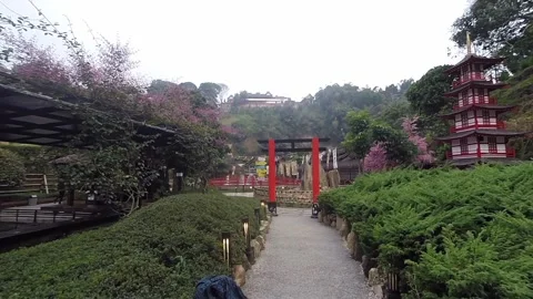 Static view of a scenic garden path towards an oriental structure and tower Stock Footage 345645056