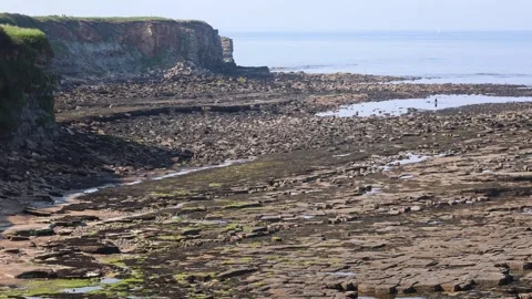 Static View Of Sea Coast With Rocks At Low Tide In Calm Weather Stock Footage 281961514