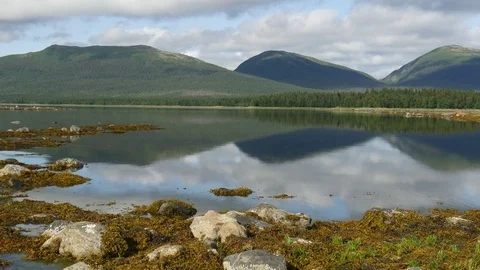Static view to sea shore, pine forest and mountain. Kandalaksha gulf, White Sea. Stock Footage 84076891
