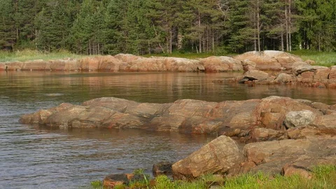 Static view to sea shore, pine forest and island.  Kandalaksha gulf, White Sea. Stock Footage 84076960
