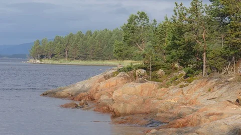 Static view to sea shore, pine forest and island.  Kandalaksha gulf, White Sea. 動画素材 84076971