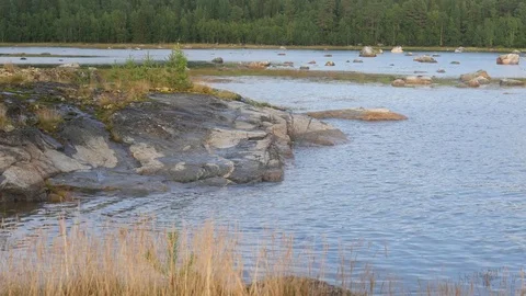Static view to sea shore, pine forest and island.  Kandalaksha gulf, White Sea. Stock Footage 84077072