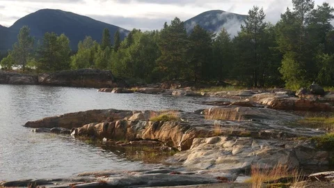 Static view to sea shore, pine forest and mountains. The fog is moving. 動画素材 84077076