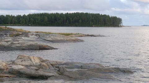 Static view to sea shore, pine forest and island.  Kandalaksha gulf, White Sea. 動画素材 84077082