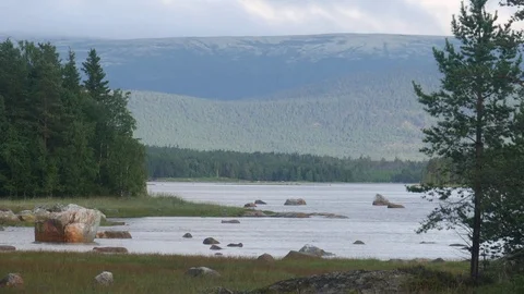 Static view to sea shore, pine forest and mountains. Video stock 84077132