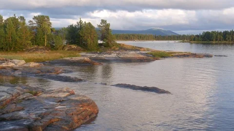 Static view to sea shore, pine forest and mountains. Cloads are moving. Video stock 84077135