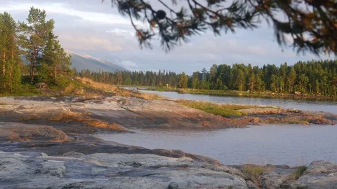 Static view to sea shore, pine forest and mountains. Video stock 84077158