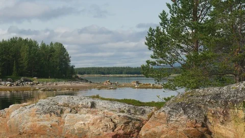 Static view to sea shore, pine forest and mountain. Kandalaksha gulf, White Sea. Video stock 84077184