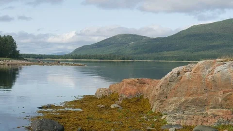 Static view to sea shore, pine forest and mountain. Kandalaksha gulf, White Sea. Stock Footage 84077187