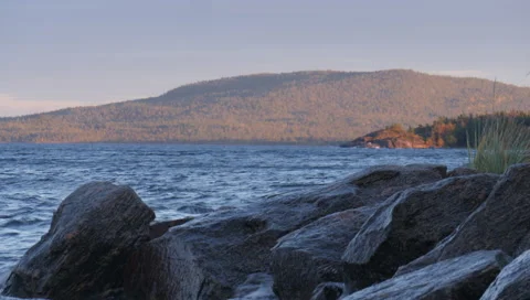 Static view to sea shore, pine forest and island. Kandalaksha gulf, White Sea. 動画素材 146320824