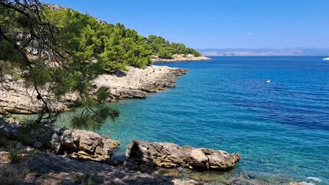 Static view of a secluded rocky bay with transparent water and pine trees Stock Footage 315562272
